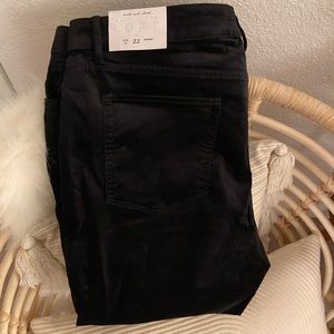 NWT Loft Plus Skinny Velvet Pants Size 22